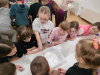 WhatsApp Image 2026-02-02 at 14.17.13.jpg